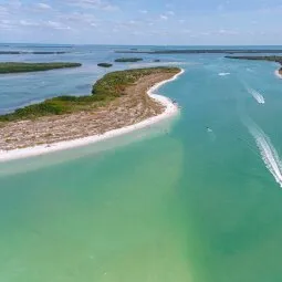 Shell Key Preserve