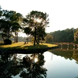 Sea Pines Forest Preserve