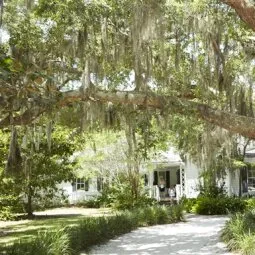 Coastal Discovery Museum