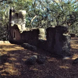 Stoney-Baynard Plantation Ruins