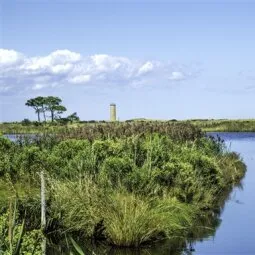 Cape Henlopen State Park (Gordons Pond)