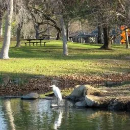 Yorba Regional Park