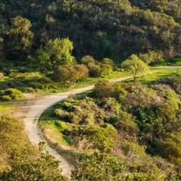 Runyon Canyon Park