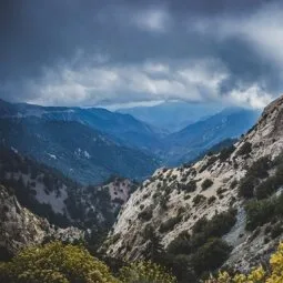 Angeles National Forest