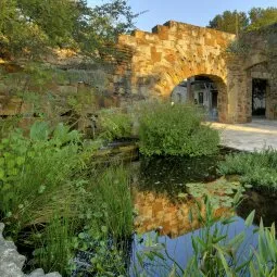 Lady Bird Johnson Wildflower Center