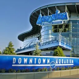 Downtown Aquarium