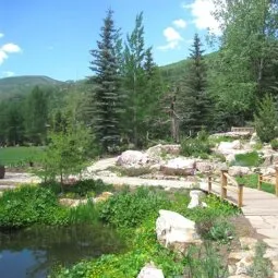 Betty Ford Alpine Gardens