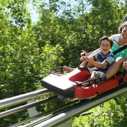 Alpine Coaster and Slide