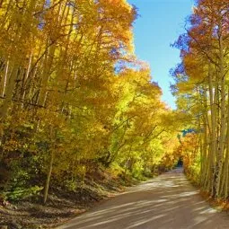 Boreas Pass Road