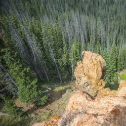 Medicine Bow-Routt National Forests