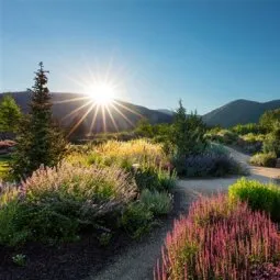 Sawtooth Botanical Garden