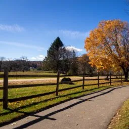 Stowe Recreation Path