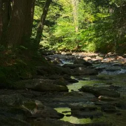 Smugglers' Notch State Park