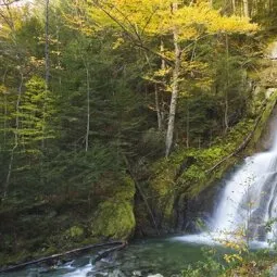 Moss Glen Falls