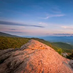 Stowe Pinnacle