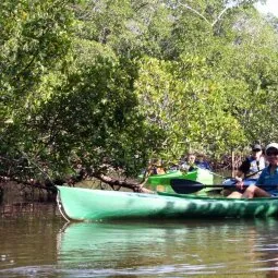 Tarpon Bay Explorers