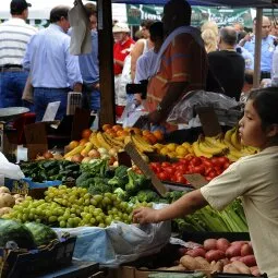 Italian Market