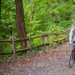 Wissahickon Valley Park