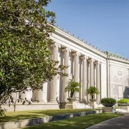 Houston Museum District