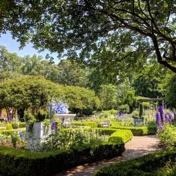 Atlanta Botanical Garden