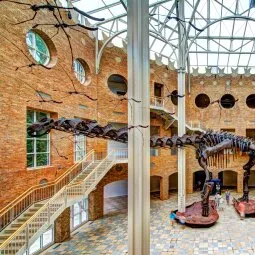 Fernbank Museum of Natural History