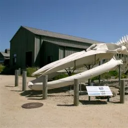 Seymour Marine Discovery Center