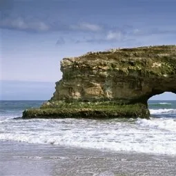 Natural Bridges State Beach