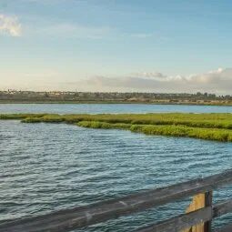 Bolsa Chica Ecological Reserve