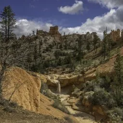 Mossy Cave Trail