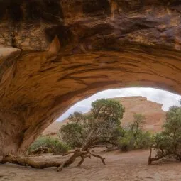 Navajo Arch