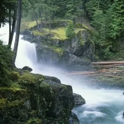 Silver Falls Trail