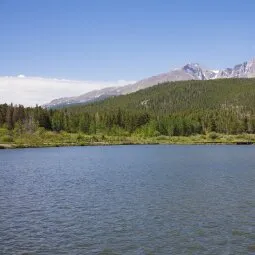 Lily Lake Loop