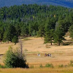 Rocky Mountain National Park Horseback Riding