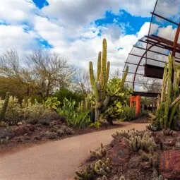 Desert Botanical Garden