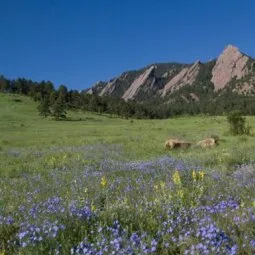 Chautauqua Park