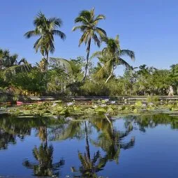 Naples Botanical Garden