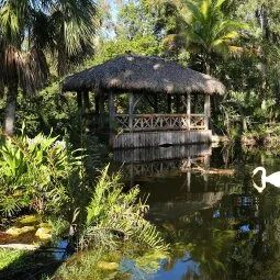 Bonnet House Museum & Gardens