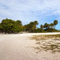 Dr. Von D. Mizell-Eula Johnson State Park