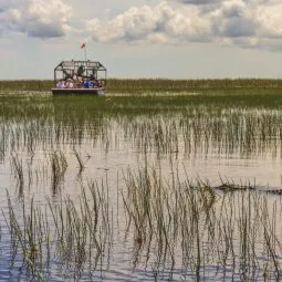 Take an airboat tour at Sawgrass Recreation Park