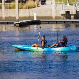 Tampa Boat Tours