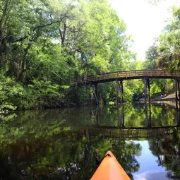 Hillsborough River State Park