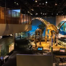 Perot Museum of Nature and Science