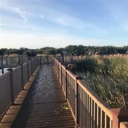 Laguna Madre Nature Trail