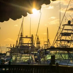 Port Aransas