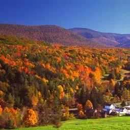 Mount Greylock