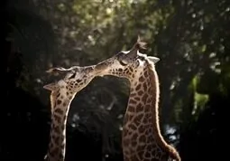 Santa Barbara Zoo