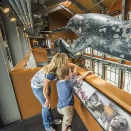 Santa Barbara Museum of Natural History