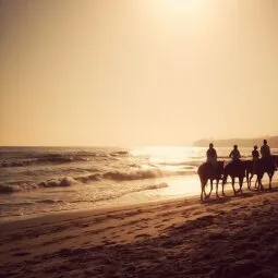 Santa Barbara Horseback Riding