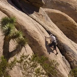 Rock Climbing