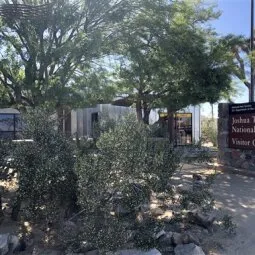 Joshua Tree Visitor Center